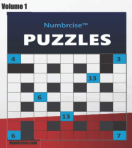 Numbrcise puzzle book - regular